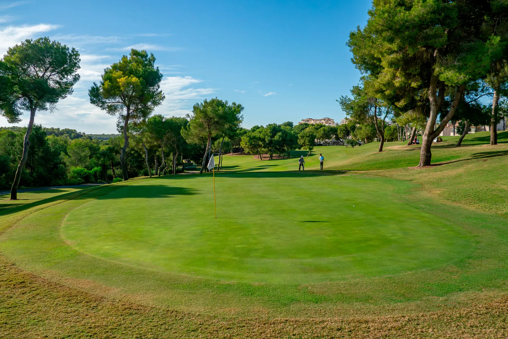golfresa spanien Alicante Las Ramblas Golf Club green